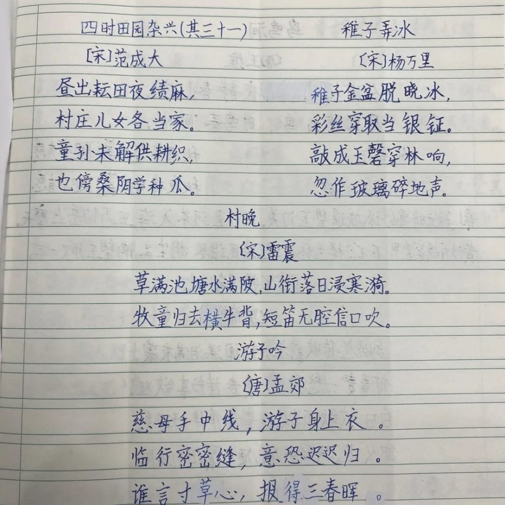 做菜時常用蒜葉來調味,你注意過蒜葉的生長過程嗎?選擇一些飽滿的蒜瓣