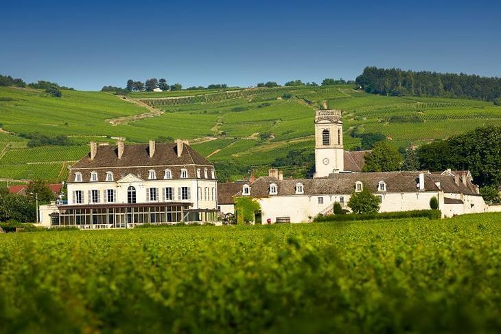 勃艮第葡萄酒之波玛pommard产区简介勃艮第波玛葡萄酒