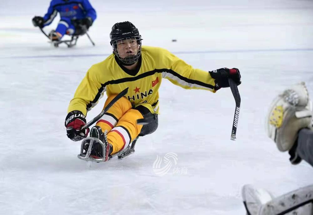 北京冬残奥会中国冰球队山东运动员占据半壁江山