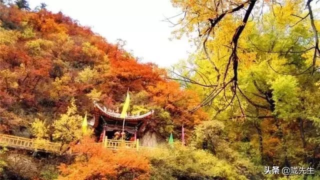 兰州这下要在全国出名了_腾讯新闻