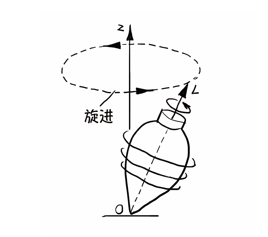 陀螺為什麼不倒下什麼是力矩和角動量