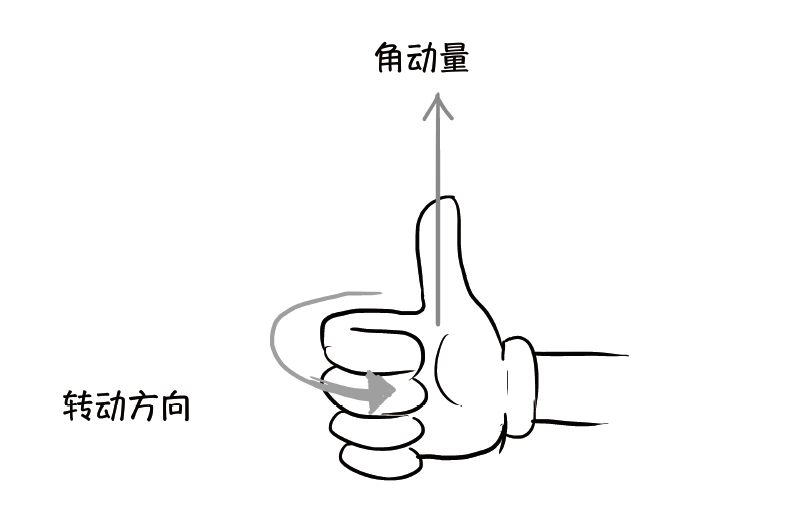 我们用右手握住陀螺,四指指向陀螺的旋转方向,大拇指就指向角动量的