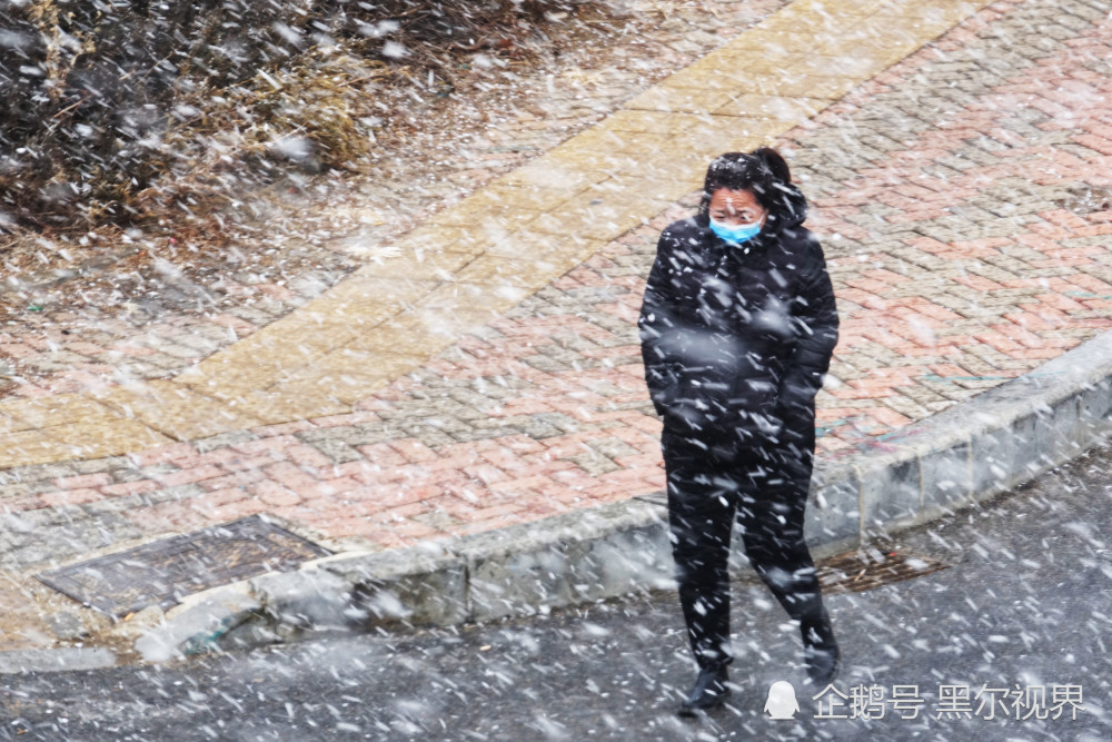 當日,遼寧省大連市局部地區出現陣雪天氣,漫天飛舞的鵝毛雪花,在天地