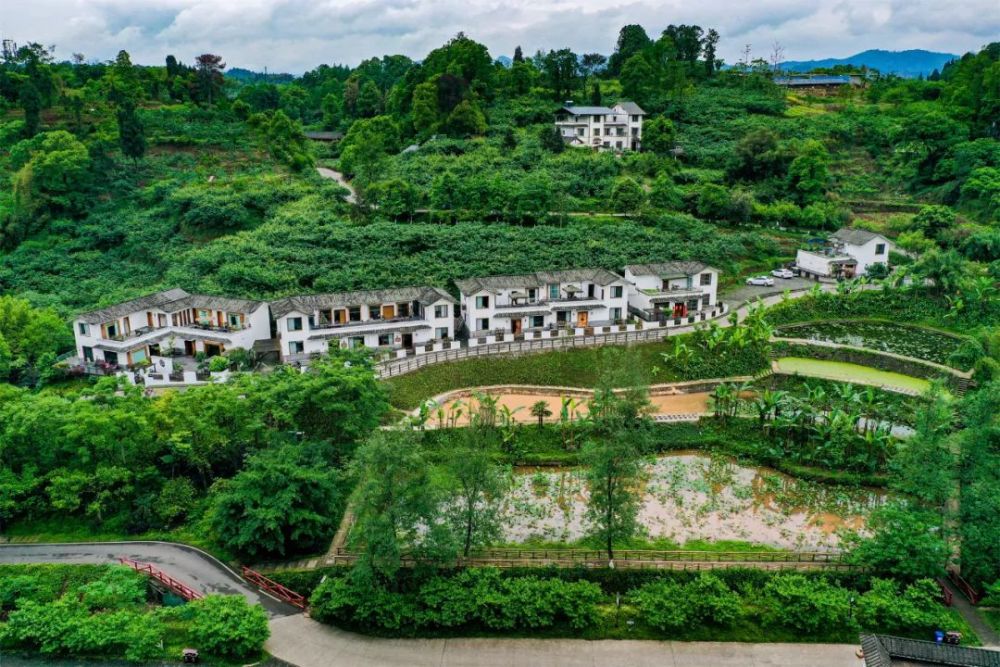 向往的生活乐山乡村旅游十大路线已为您备好出发