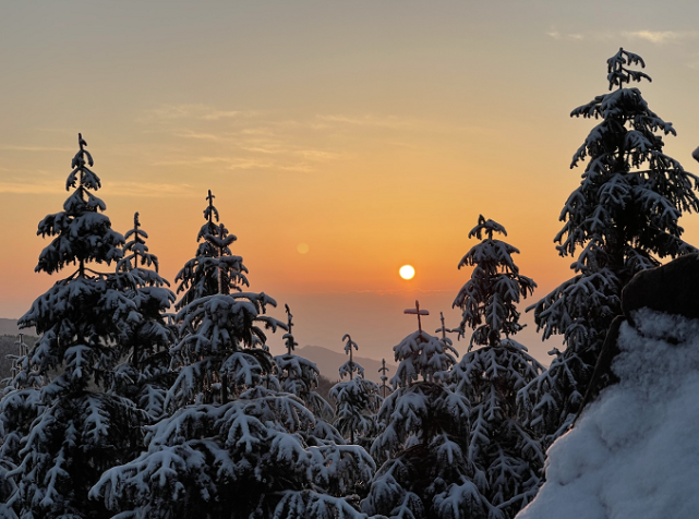 雪后太阳图片
