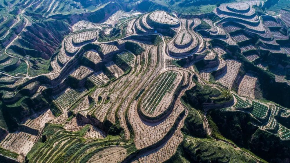 今年,首批打造的20个生态振兴示范村涉及榆林所有县市区,其中北部风沙