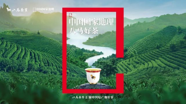 中国国家地理,品鉴大美中国·地道好茶