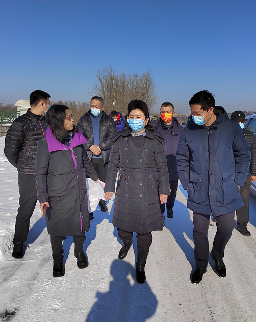 香坊区委常委常务副区长刘蕊深入马家沟开展巡河