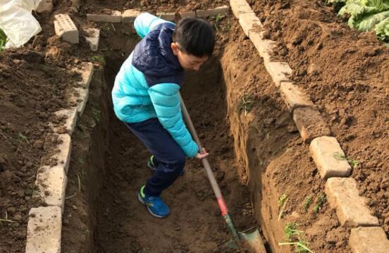 河南一座小山9歲小孩挖菜窖引來考古隊說下面是朱元璋兒媳墓