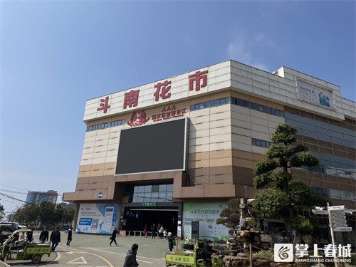今天(2月23日)下午1点,记者走访昆明斗南花卉市场发现,目前市场正常
