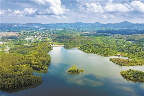 佛山高明向社会招亲展现城市价值重构产业空间