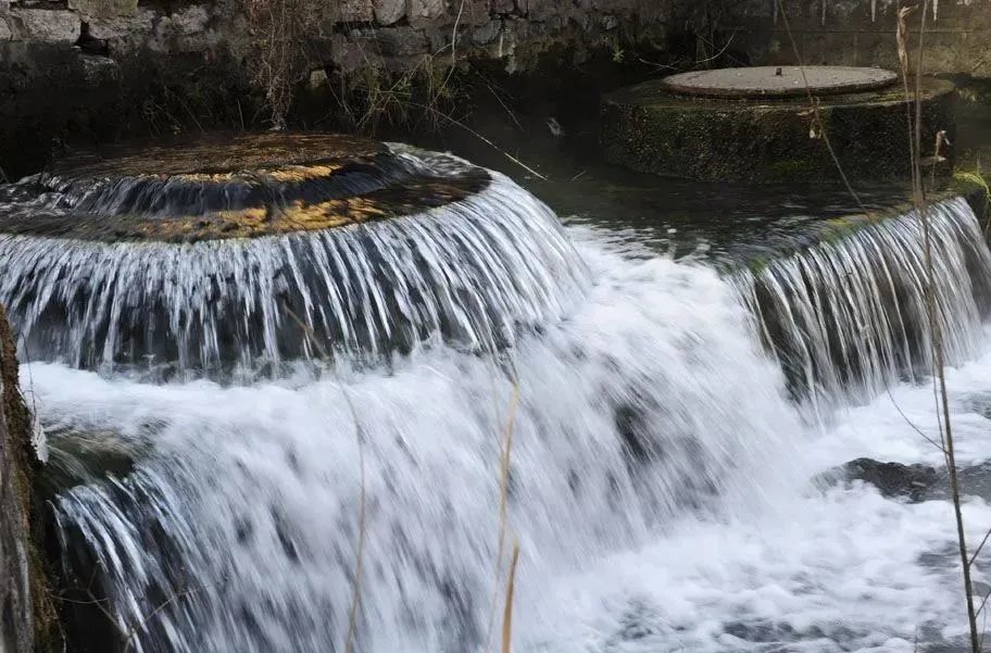 干过物流、做过饮料代理，现在他在西城阁开了家爆肚面