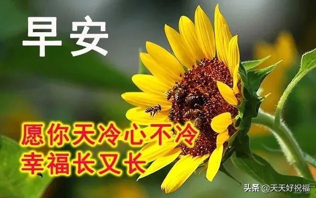 2022年2月24日 早上好問候祝福動態表情圖片 最新早安問候語動態圖片