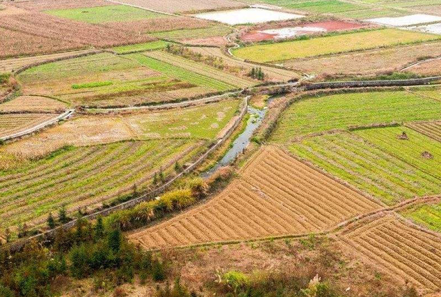 农村土地分配不均无地农民呼吁重新分配国家给出回应