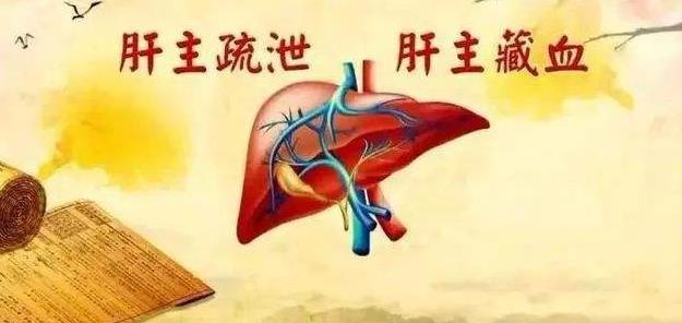 中医认为肝主疏泄这是什么意思呢