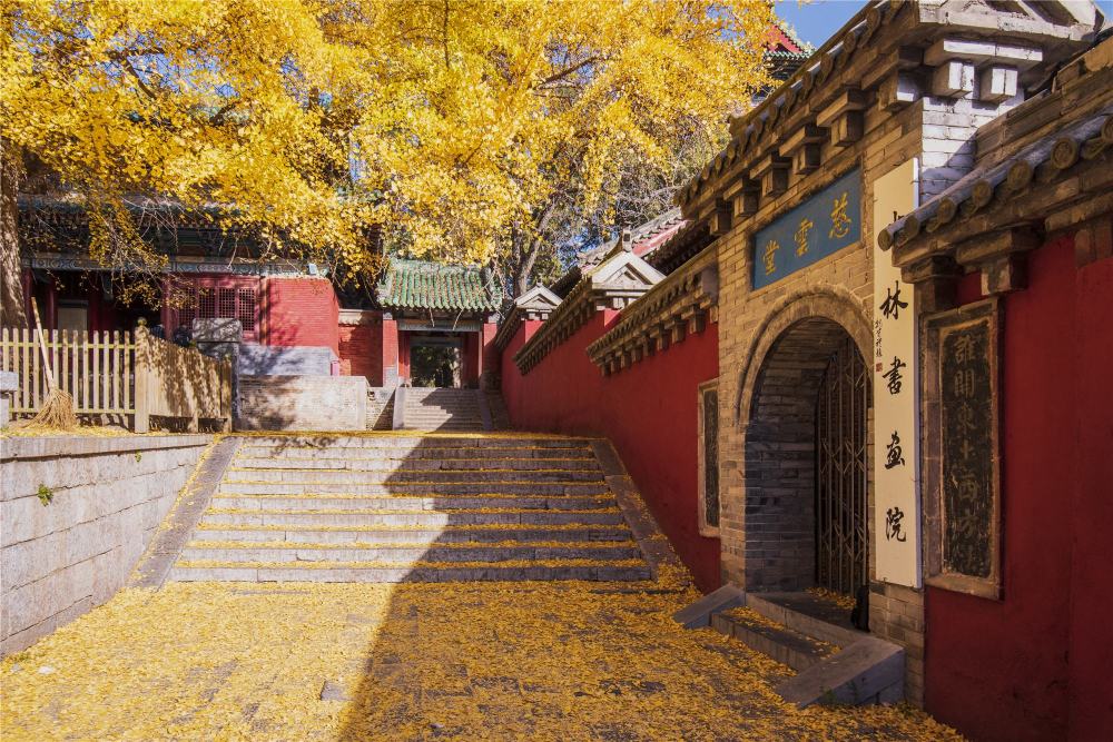 南北朝370年乱世少林寺在夹缝中怎么生存僧稠禅武合一