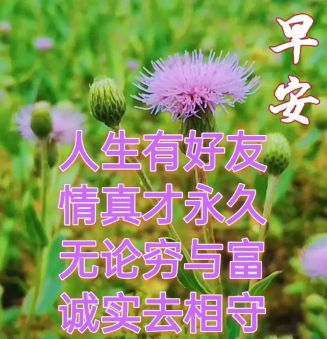 願你保持微笑,珍惜這個忙碌而充實的一天,早安!