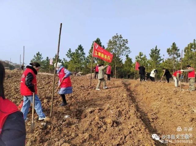 植樹造林利國利民