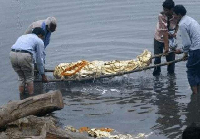 印度恒河的怒吼食人鲶被毒素深入真是扶不起的阿斗