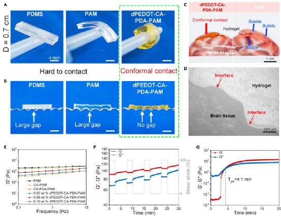 brain-machine interfaces for conformal and immune-evasive