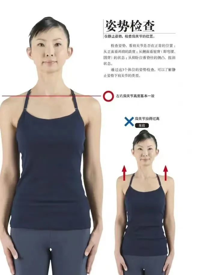 苦练直角肩15年归来仍是古装体态反面教材