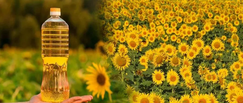 俄乌局势威胁葵花油供应 食用油市场上演价格风暴 腾讯新闻