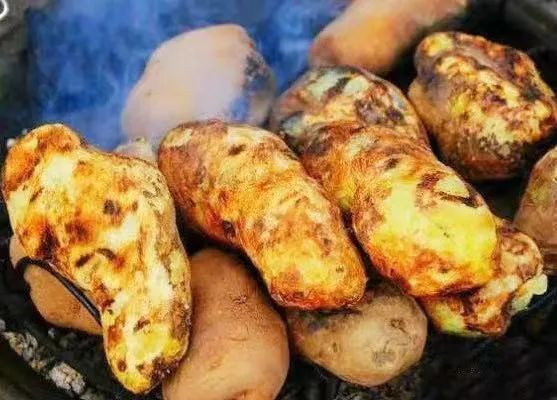 东川老乡一首红土地烤火防毒烧洋芋歌唱出不一样的消防安全