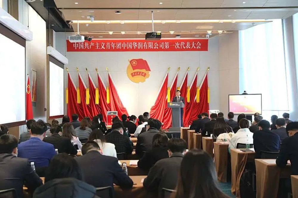共青团中国华润有限公司第一次代表大会胜利召开