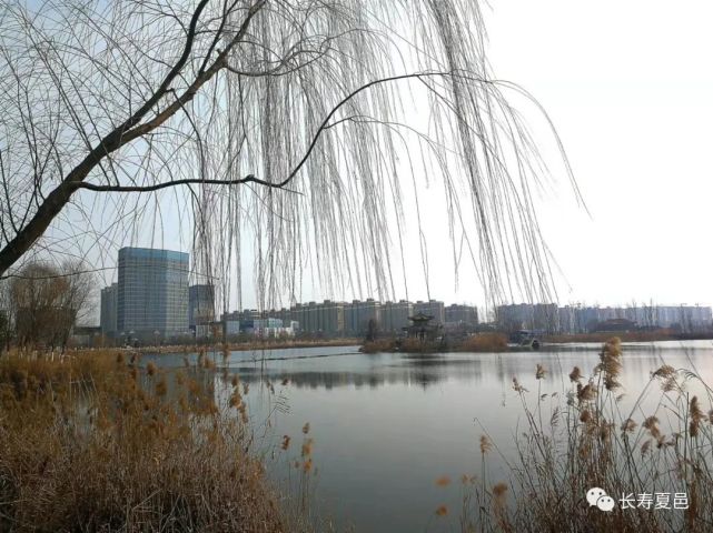 春游天龙湖|夏邑县|天龙