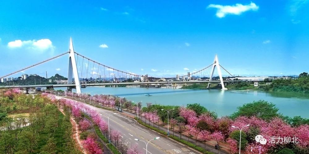 绿水青山入画卷金山银山亮人眼柳北区以生态环境高水平保护推动经济高