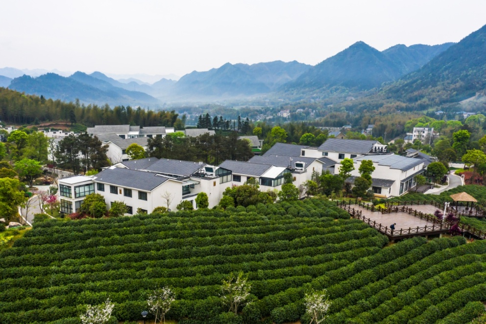 點贊這是龍游首個國家級森林康養試點建設基地