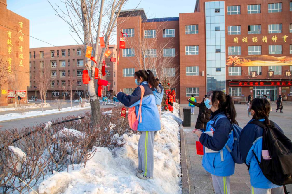 博乐市实验中学图片