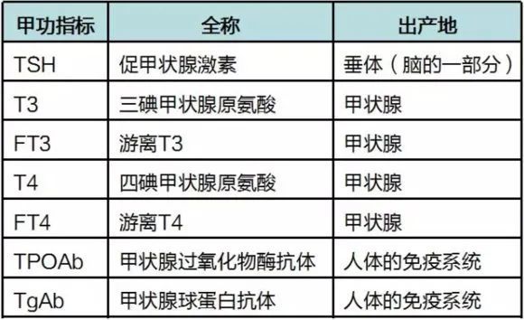 全面解讀甲功各項指標,分別代表什麼意思?