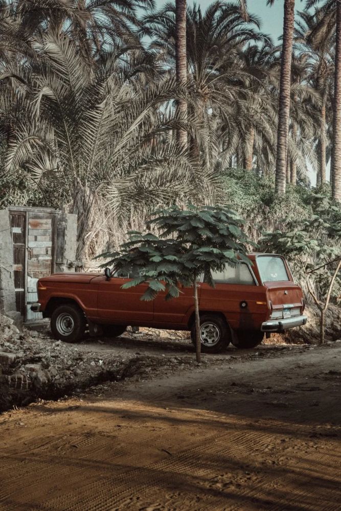 是一般大众也包括一般摄影师对人像摄影作精彩的人像摄影matjaz simic