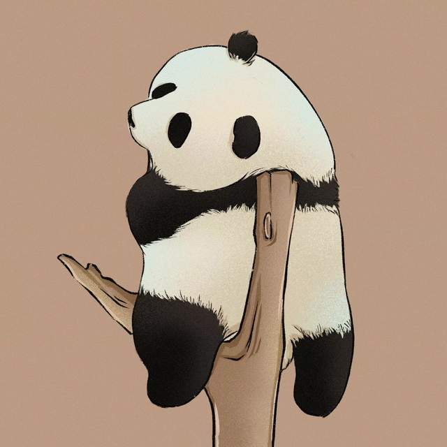 超可爱的大熊猫头像萌化了
