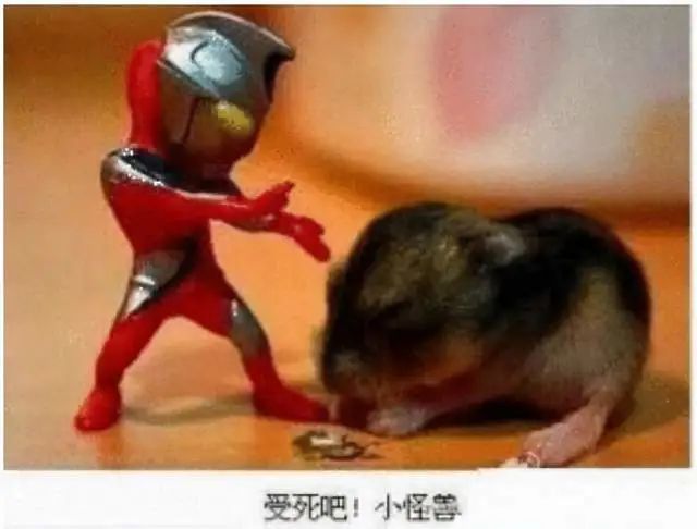 漫威电影票房排行_《蜘蛛侠3》:推迟线上播出时间,可依旧是无缘在大陆市场上映