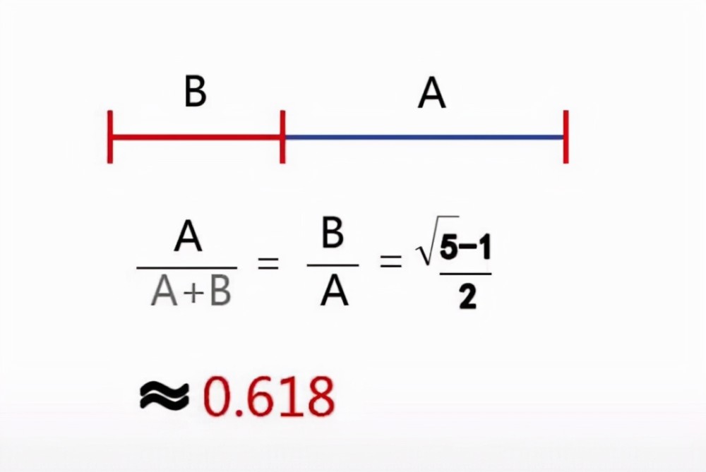 黄金分割里的秘密为什么0618的构造比例会让人产生美感