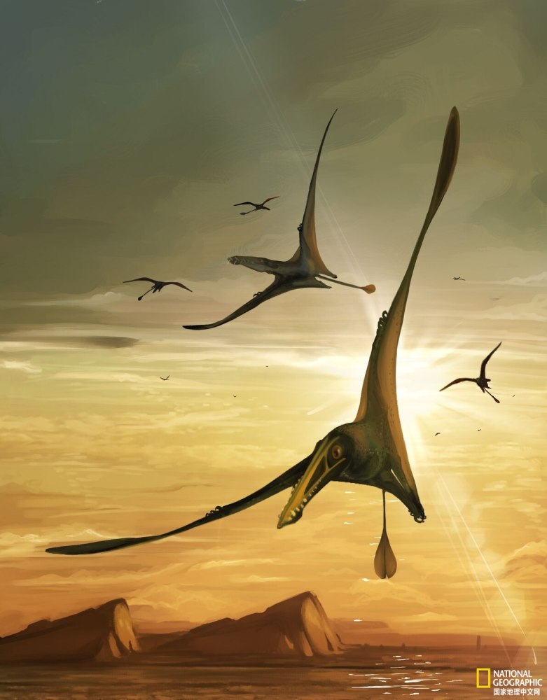 苏格兰出土世界上最大侏罗纪翼龙化石_腾讯新闻