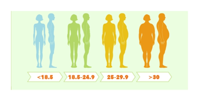 为什么BMI高的人越来越多（bmi的正常范围是多少）