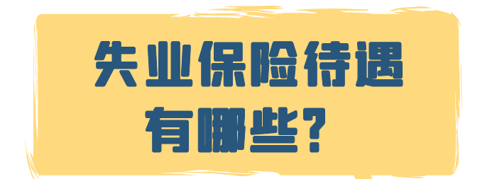 小貼士就業人員的流動性更大,更需要失業保險的保障!