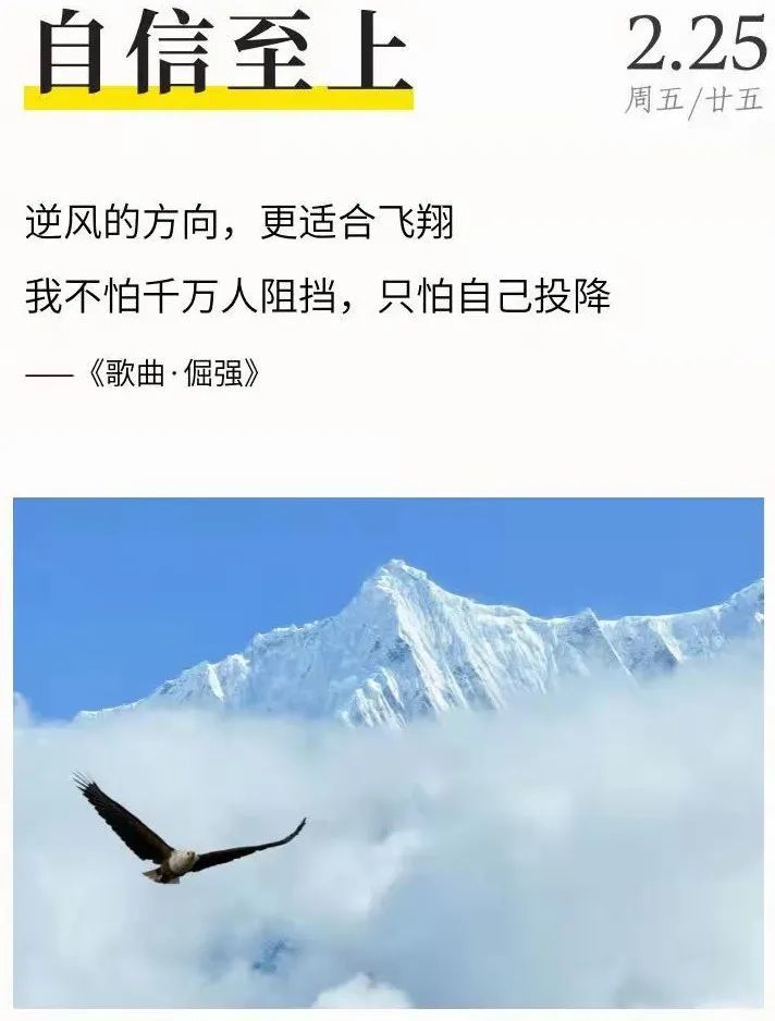 日签自信至上