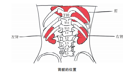 我为群众办实事四医生我有个朋友说他肾不好该怎样做呢