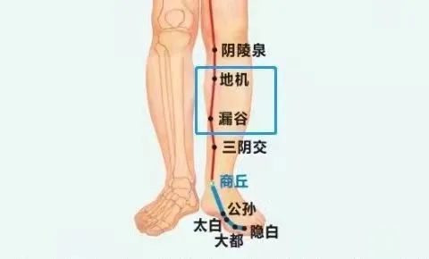 揉通脾經能去重病急病怪病