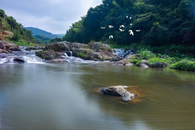 霞浦桐油溪:一江碧水清凌凌 两岸青山绿油油|桐油溪|霞浦县|罗汉溪