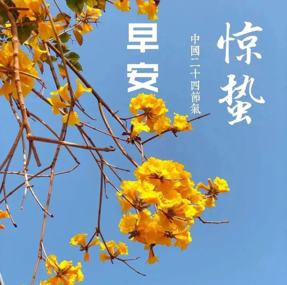 2022年惊蛰早安问候祝福语惊蛰免打字朋友圈问候祝福图片带字温馨