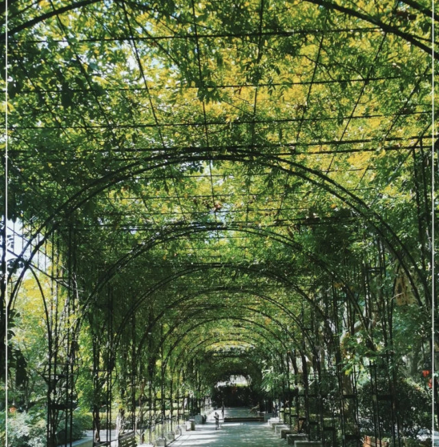 上海唯一法式园林风格公园百年来首次打开围墙