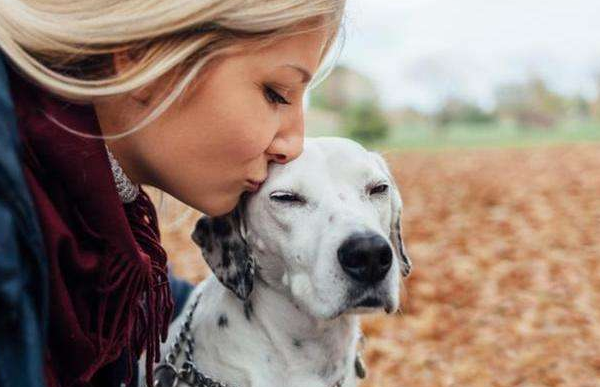 在狗狗眼里主人这些举动犹如抛弃