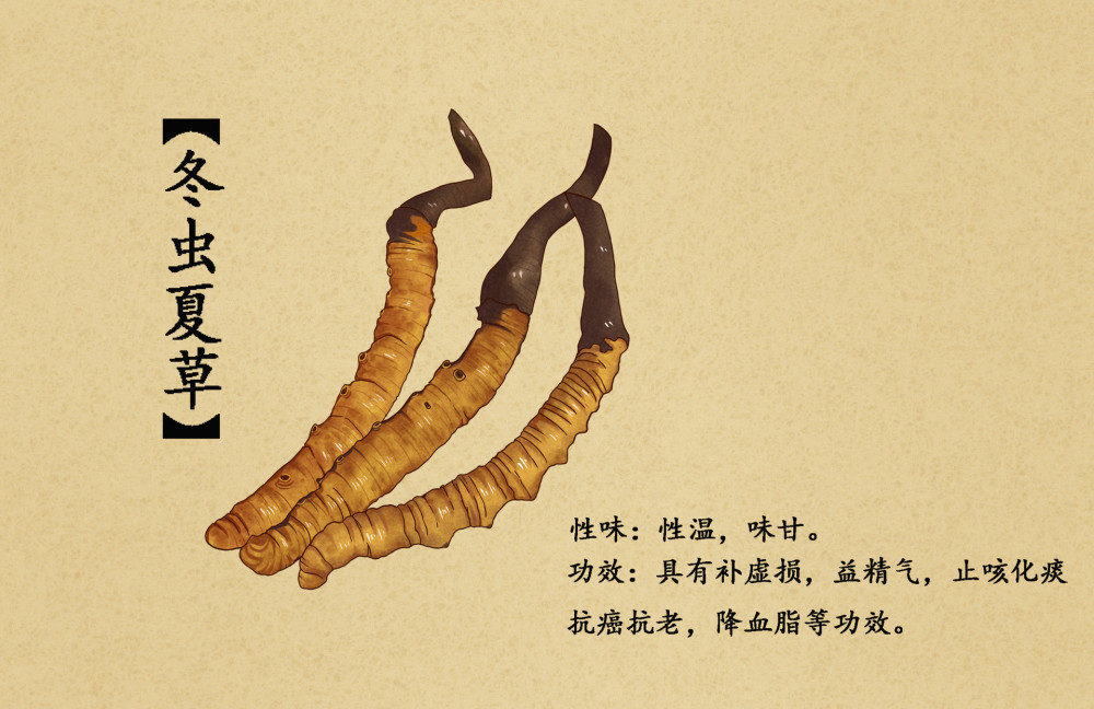 瑞隆安集团告诉你常见的美白食材