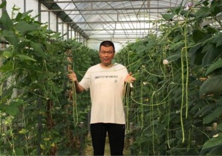 农技专家郑军伟荣获三农分享官金种子奖