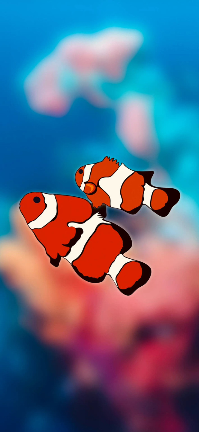 小丑鱼手机壁纸